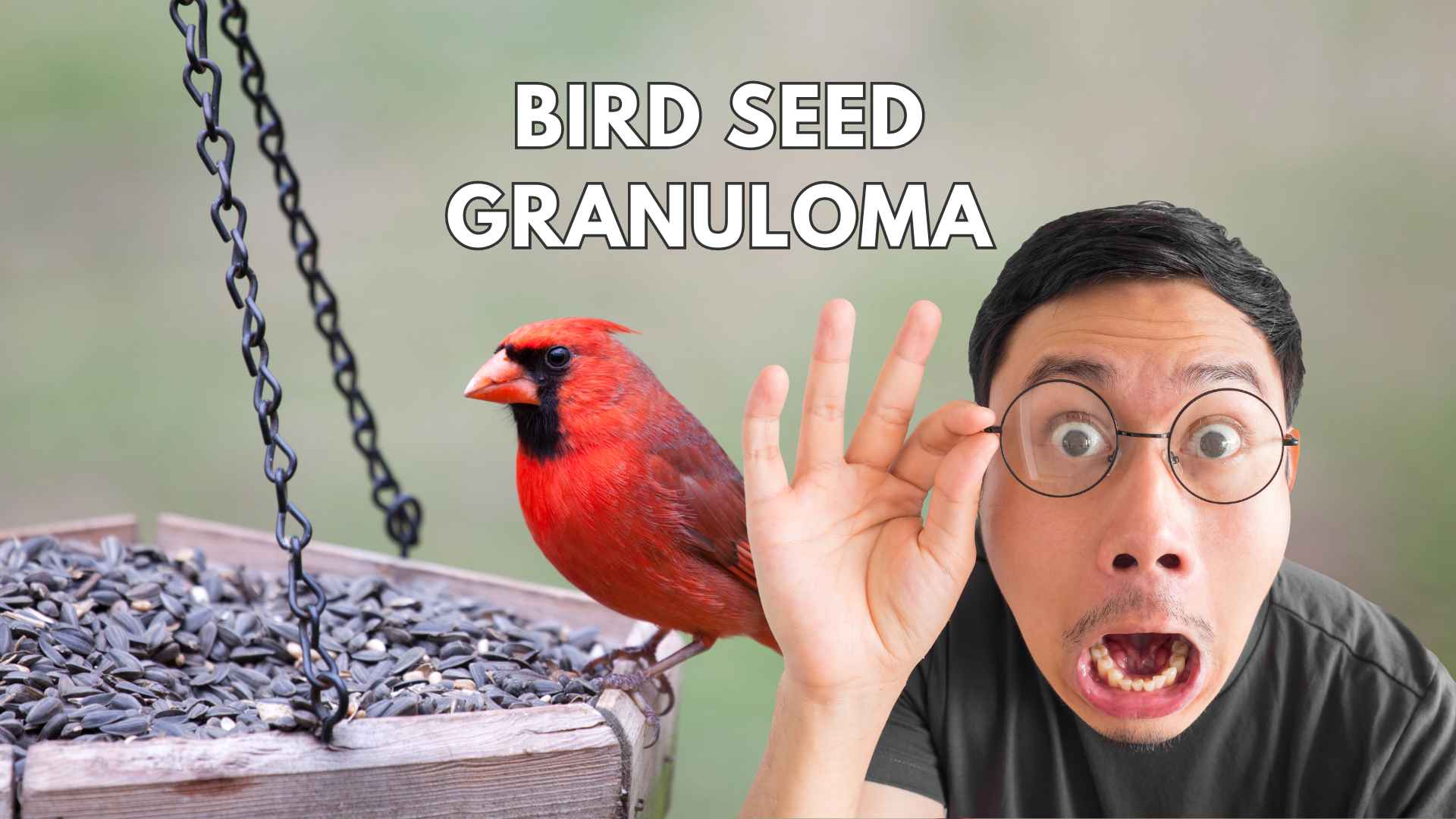 Bird seed granuloma